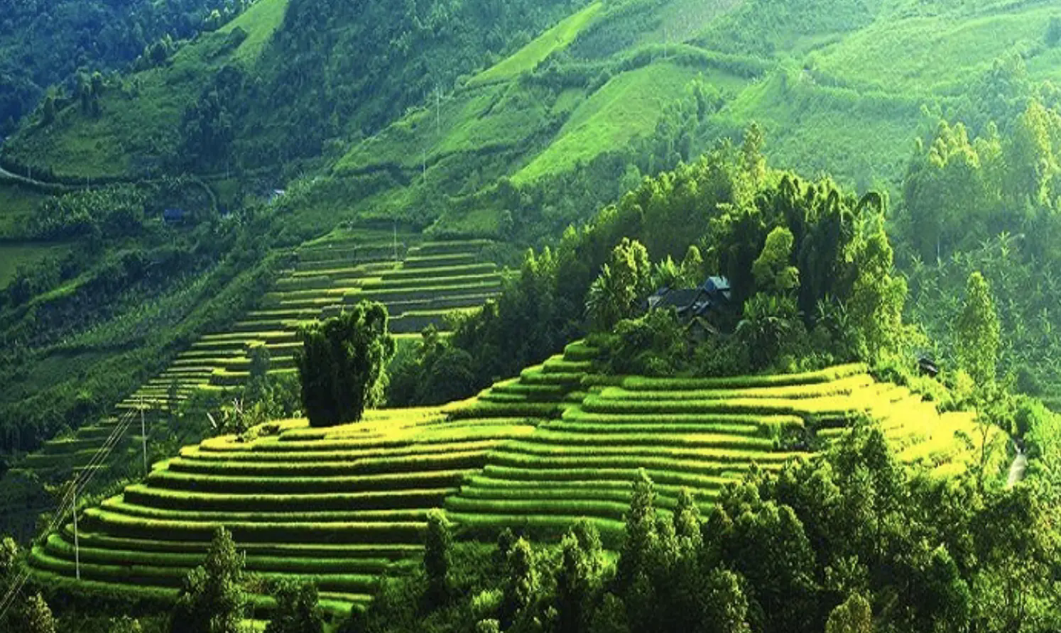 Đ&agrave;i PTTH H&agrave; Nội
