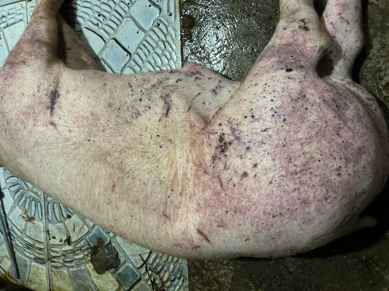 Đ&agrave;i PTTH H&agrave; Nội
