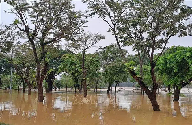 Đ&agrave;i PTTH H&agrave; Nội