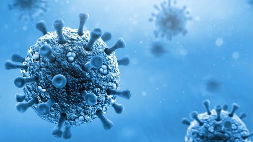 Việt Nam c&oacute; nguy cơ cao x&acirc;m nhập virus bại liệt