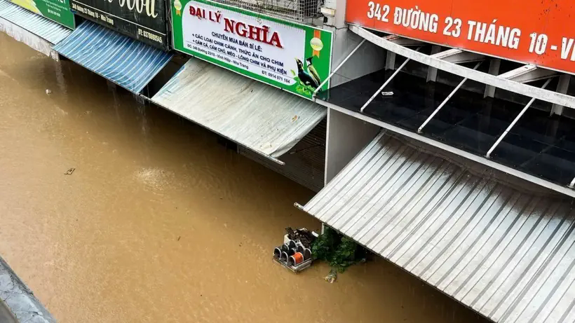 Kh&aacute;nh H&ograve;a thiệt hại nặng nề do mưa lũ