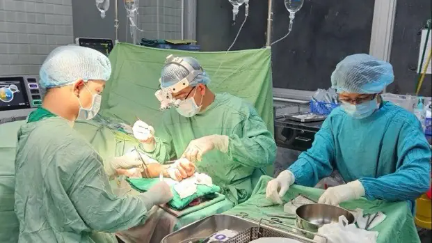 Nối th&agrave;nh c&ocirc;ng hai b&agrave;n tay bị đứt l&igrave;a cho một người đ&agrave;n &ocirc;ng