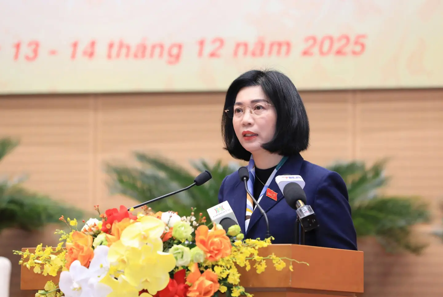 Đ&agrave;i PTTH H&agrave; Nội