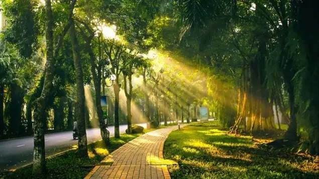 Thời tiết 19/12: H&agrave; Nội trời nắng ấm