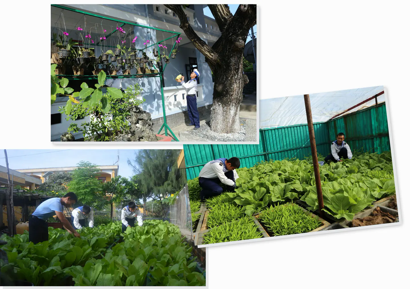 Đ&agrave;i PTTH H&agrave; Nội