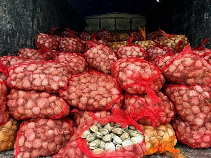 Đ&agrave;i PTTH H&agrave; Nội
