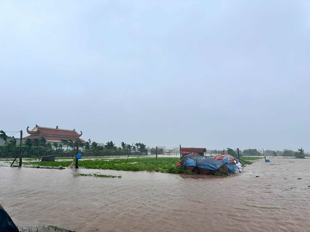 Đ&agrave;i PTTH H&agrave; Nội