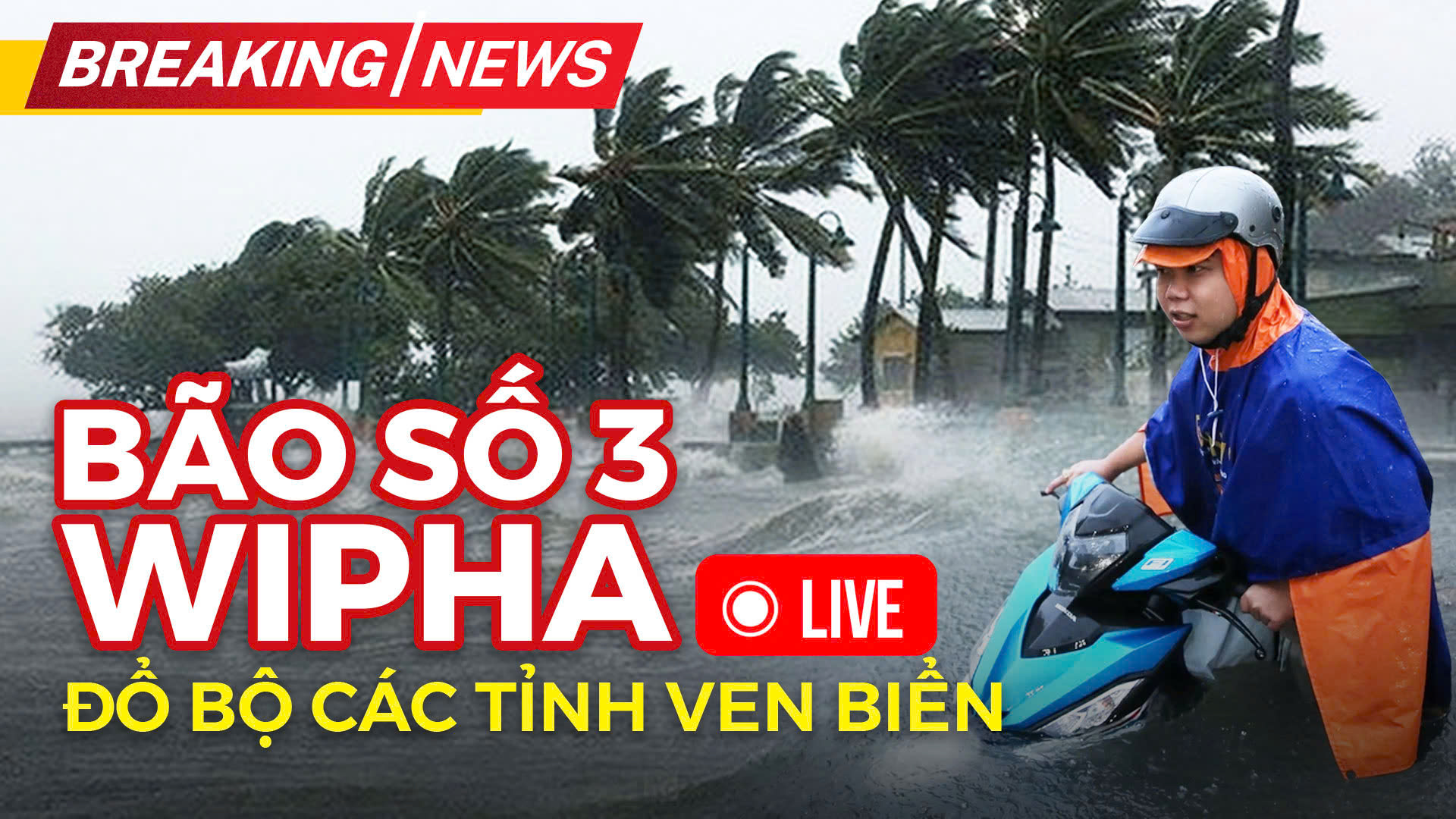 B&atilde;o số 3 (Wipha) đổ bộ Hưng Y&ecirc;n, Ninh B&igrave;nh