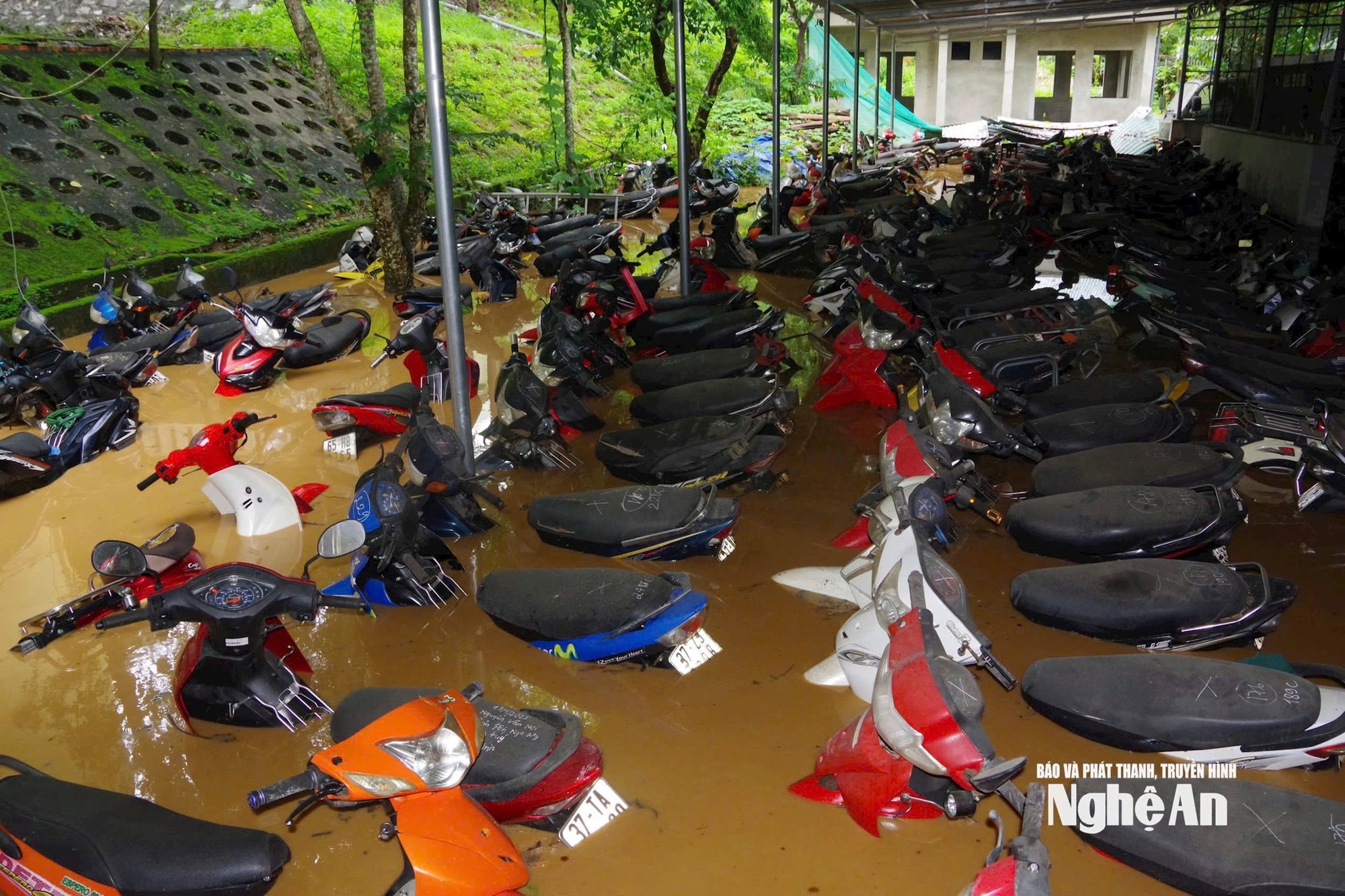 Đ&agrave;i PTTH H&agrave; Nội