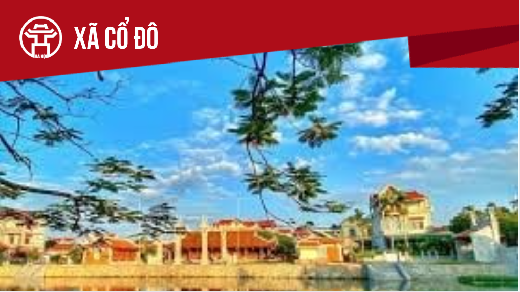 X&atilde; Cổ Đ&ocirc;: Tất cả th&ocirc;ng tin chỉ dẫn bạn cần biết