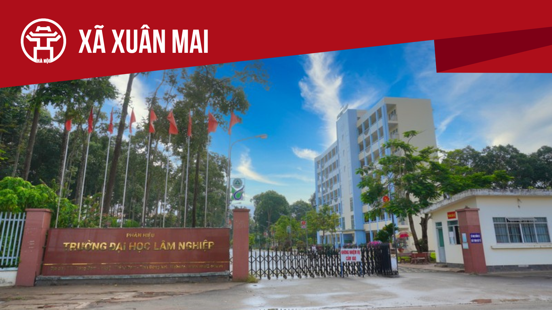 X&atilde; Xu&acirc;n Mai: Tất cả th&ocirc;ng tin chỉ dẫn bạn cần biết
