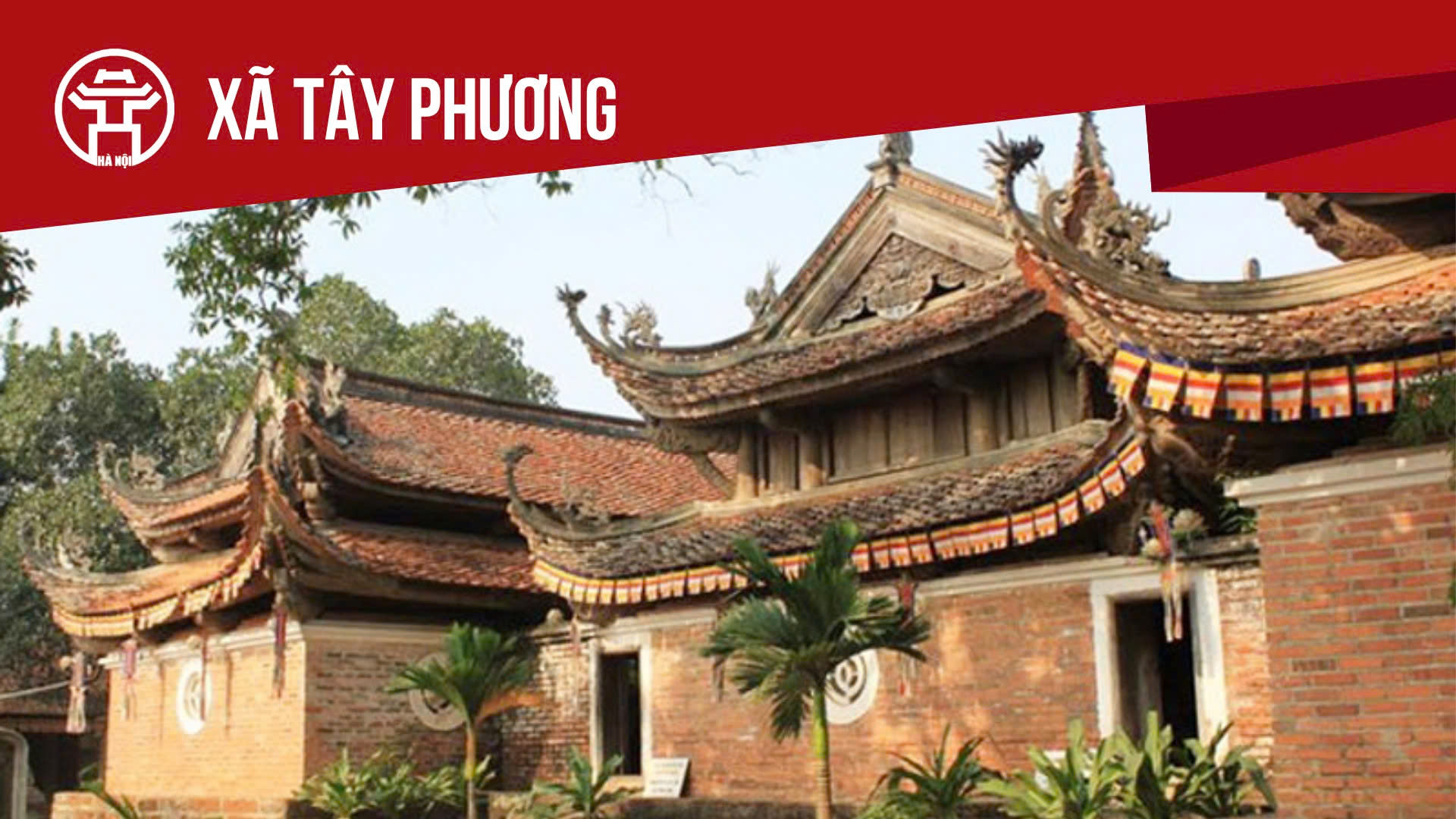 X&atilde; T&acirc;y Phương: Tất cả th&ocirc;ng tin chỉ dẫn bạn cần biết