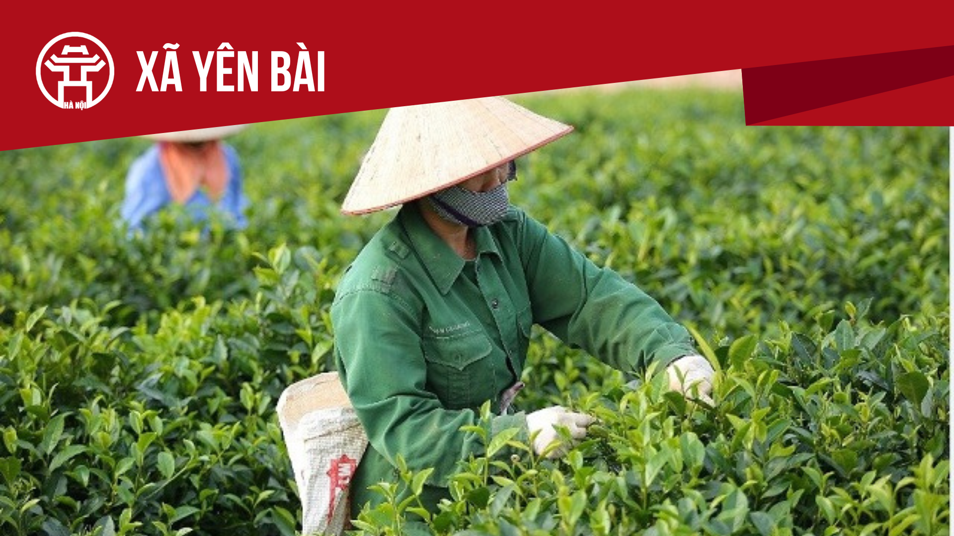 X&atilde; Y&ecirc;n B&agrave;i: Tất cả th&ocirc;ng tin chỉ dẫn bạn cần biết