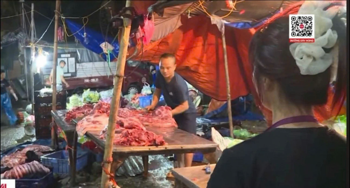 Bắt lợn bệnh