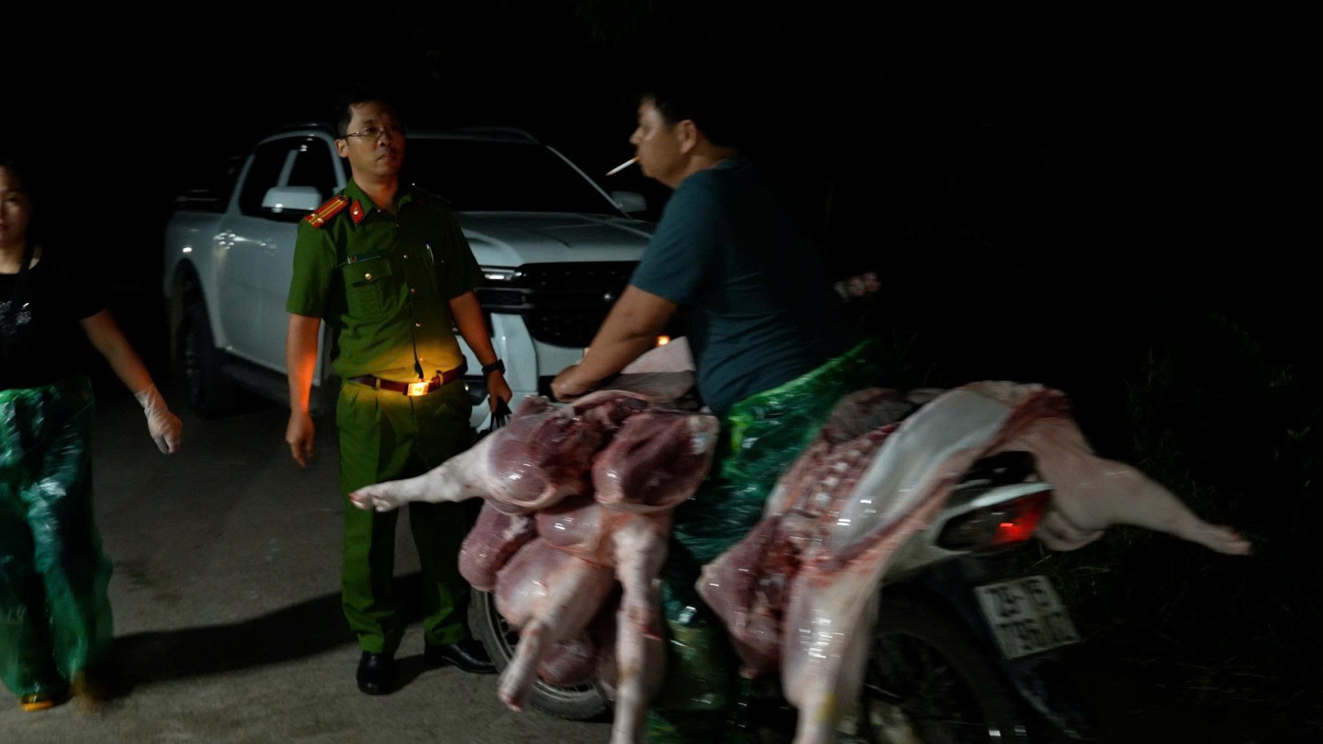 Bắt lợn bệnh