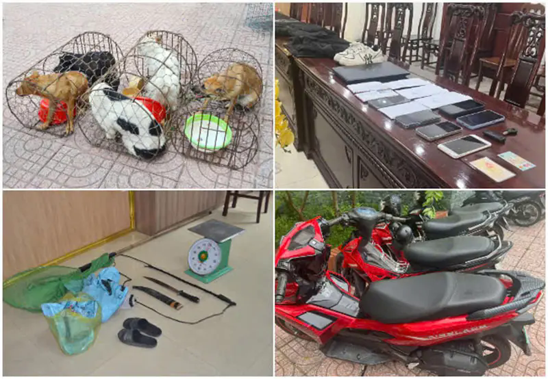 Đ&agrave;i PTTH H&agrave; Nội