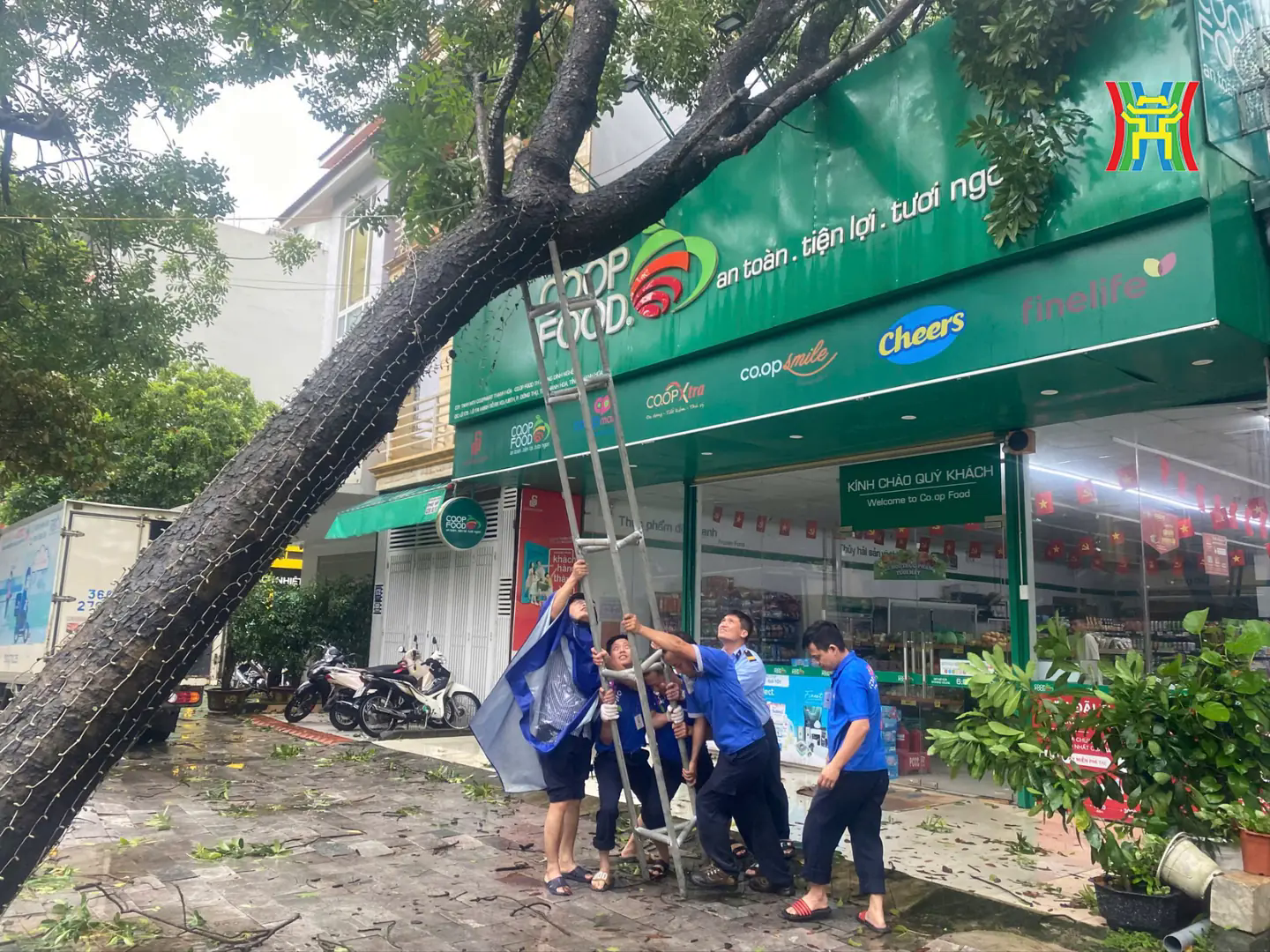 Đ&agrave;i PTTH H&agrave; Nội