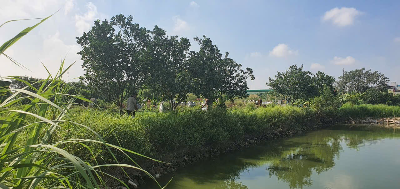 Đ&agrave;i PTTH H&agrave; Nội