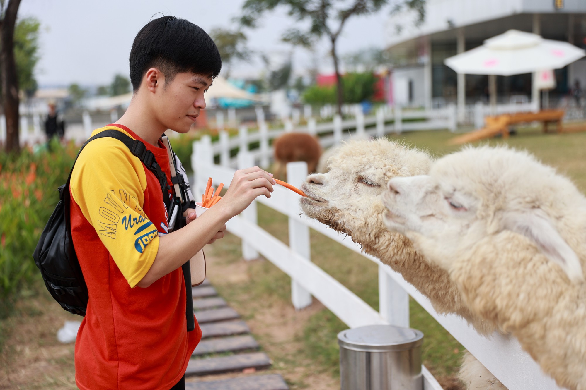 Đ&agrave;i PTTH H&agrave; Nội