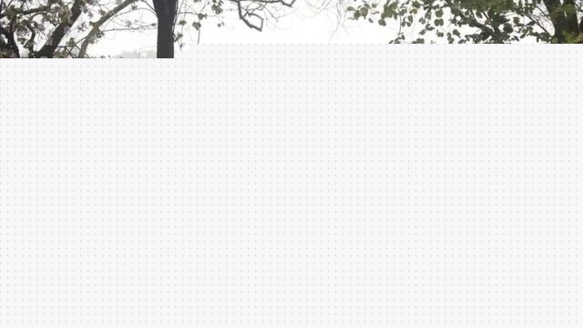 Thời tiết 5/3: H&agrave; Nội nhiều m&acirc;y, mưa nhỏ v&agrave;i nơi