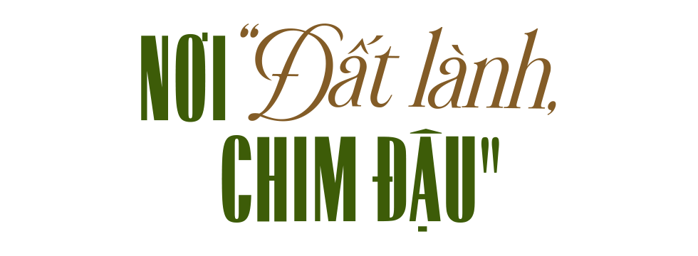 Đ&agrave;i PTTH H&agrave; Nội