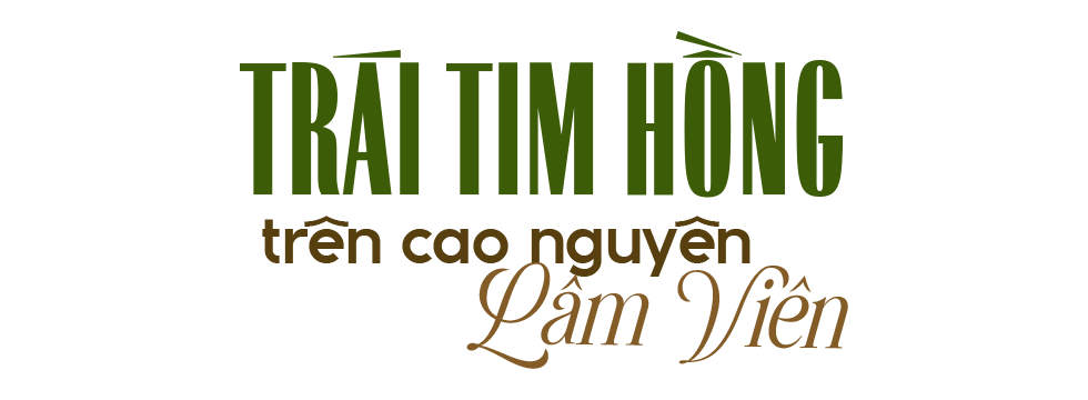 Đ&agrave;i PTTH H&agrave; Nội