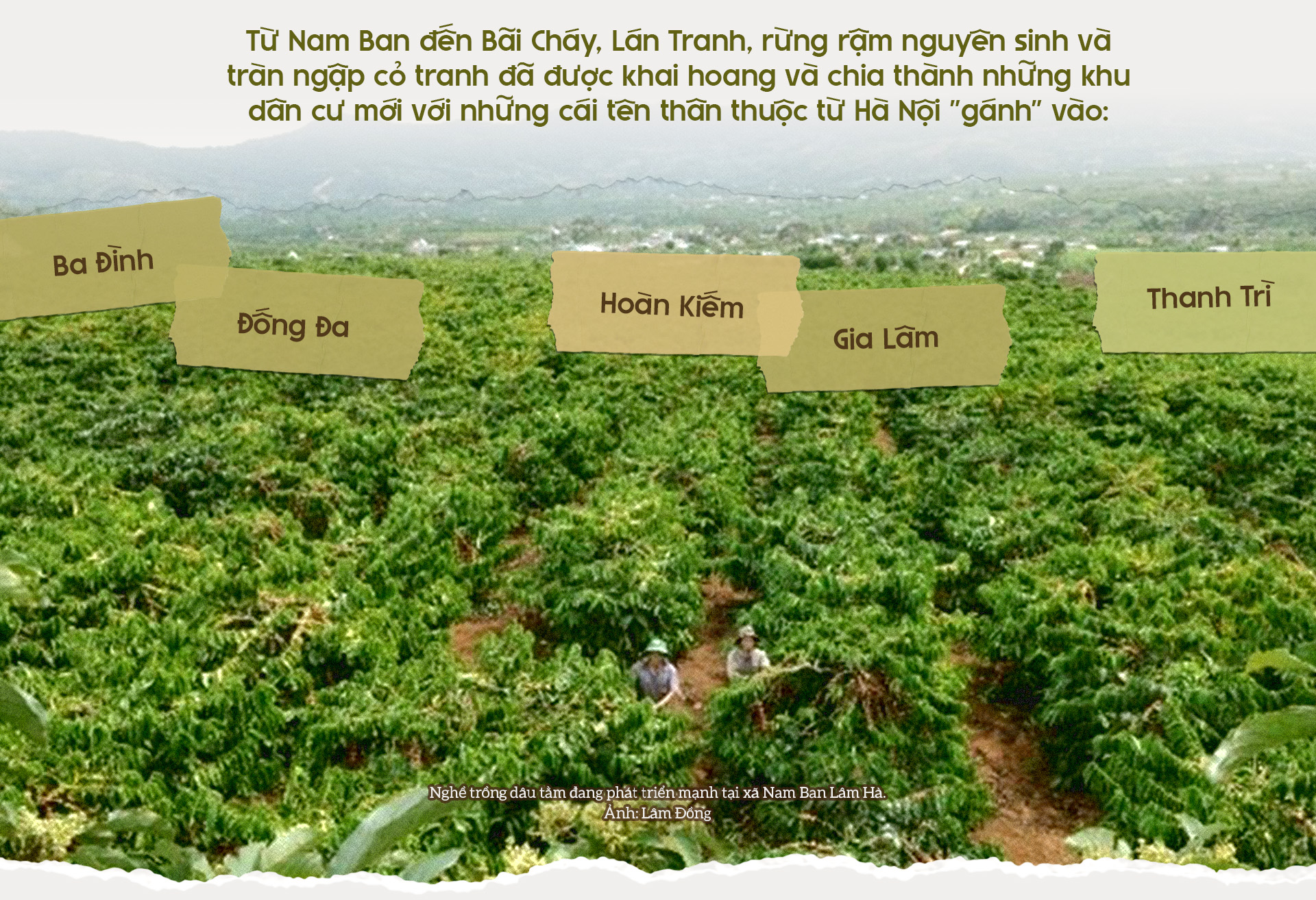 Đ&agrave;i PTTH H&agrave; Nội