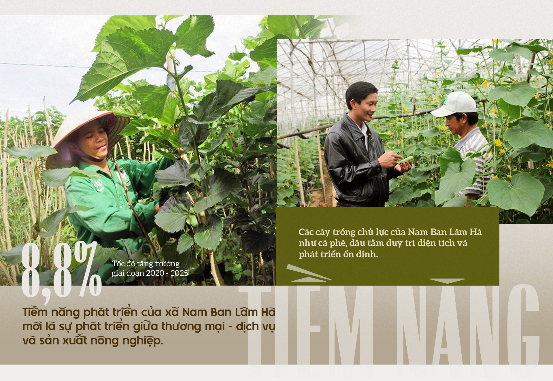 Đ&agrave;i PTTH H&agrave; Nội