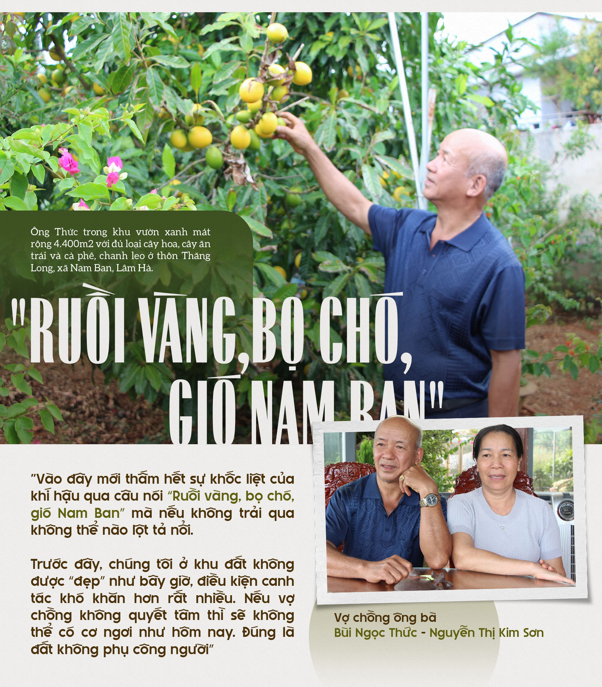 Đ&agrave;i PTTH H&agrave; Nội
