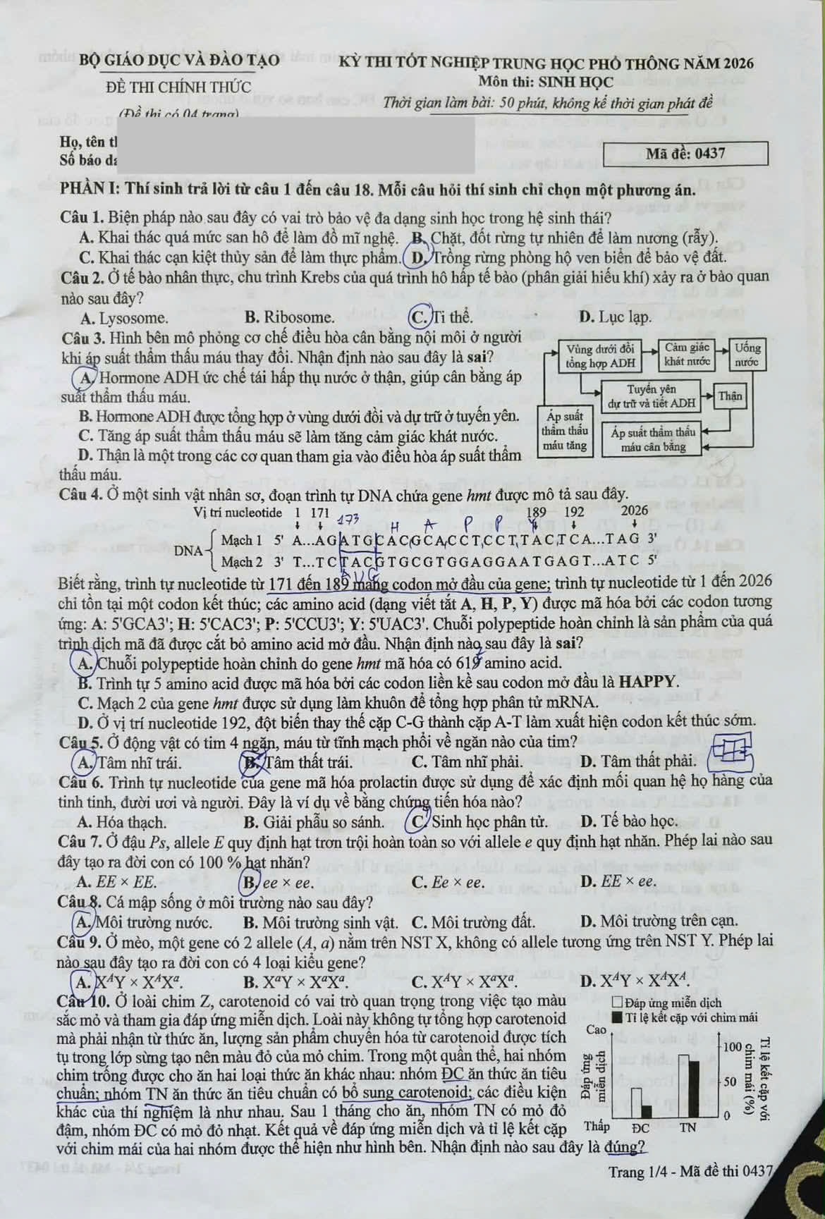 Đ&agrave;i PTTH H&agrave; Nội