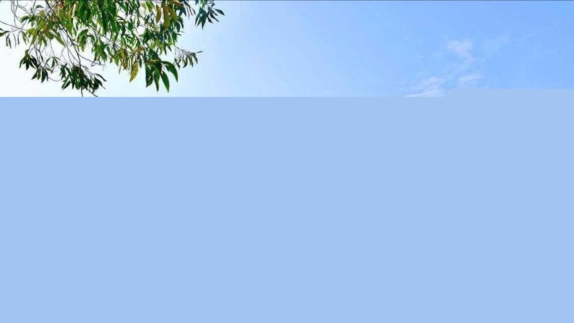 Th&iacute; sinh tại điểm thi THPT Chuy&ecirc;n Tuy&ecirc;n Quang được đăng k&yacute; x&eacute;t tuyển đại học b&igrave;nh thường