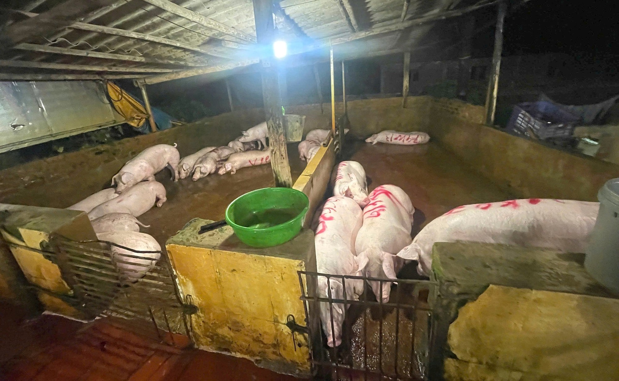 Đ&agrave;i PTTH H&agrave; Nội