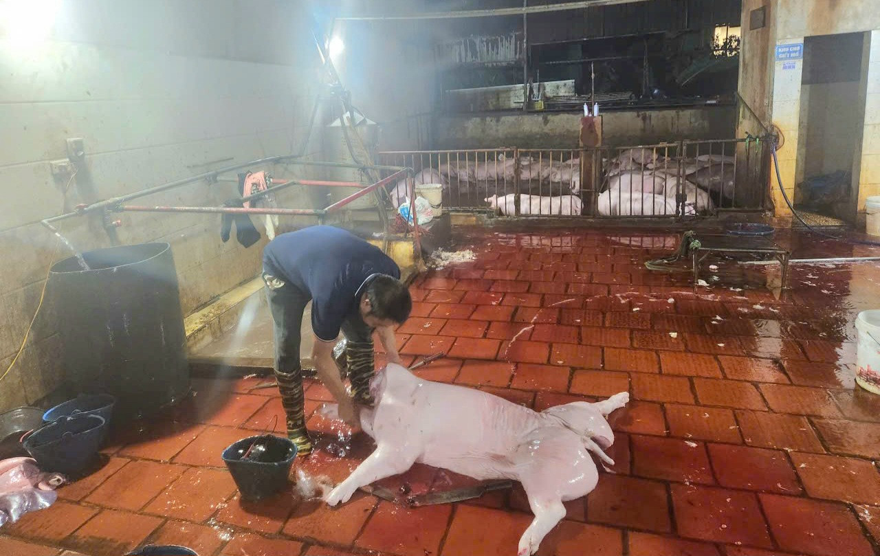 Đ&agrave;i PTTH H&agrave; Nội