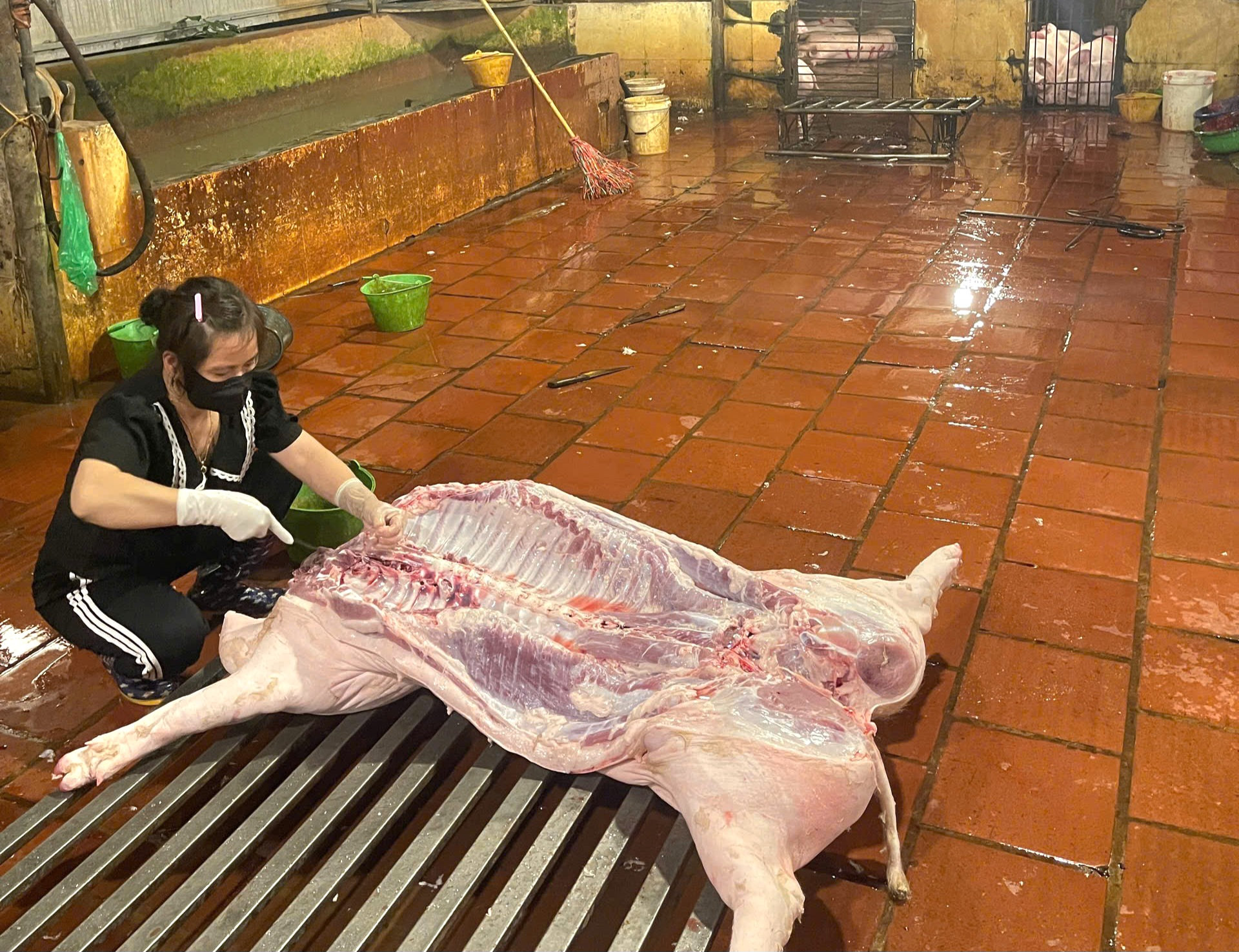 Đ&agrave;i PTTH H&agrave; Nội