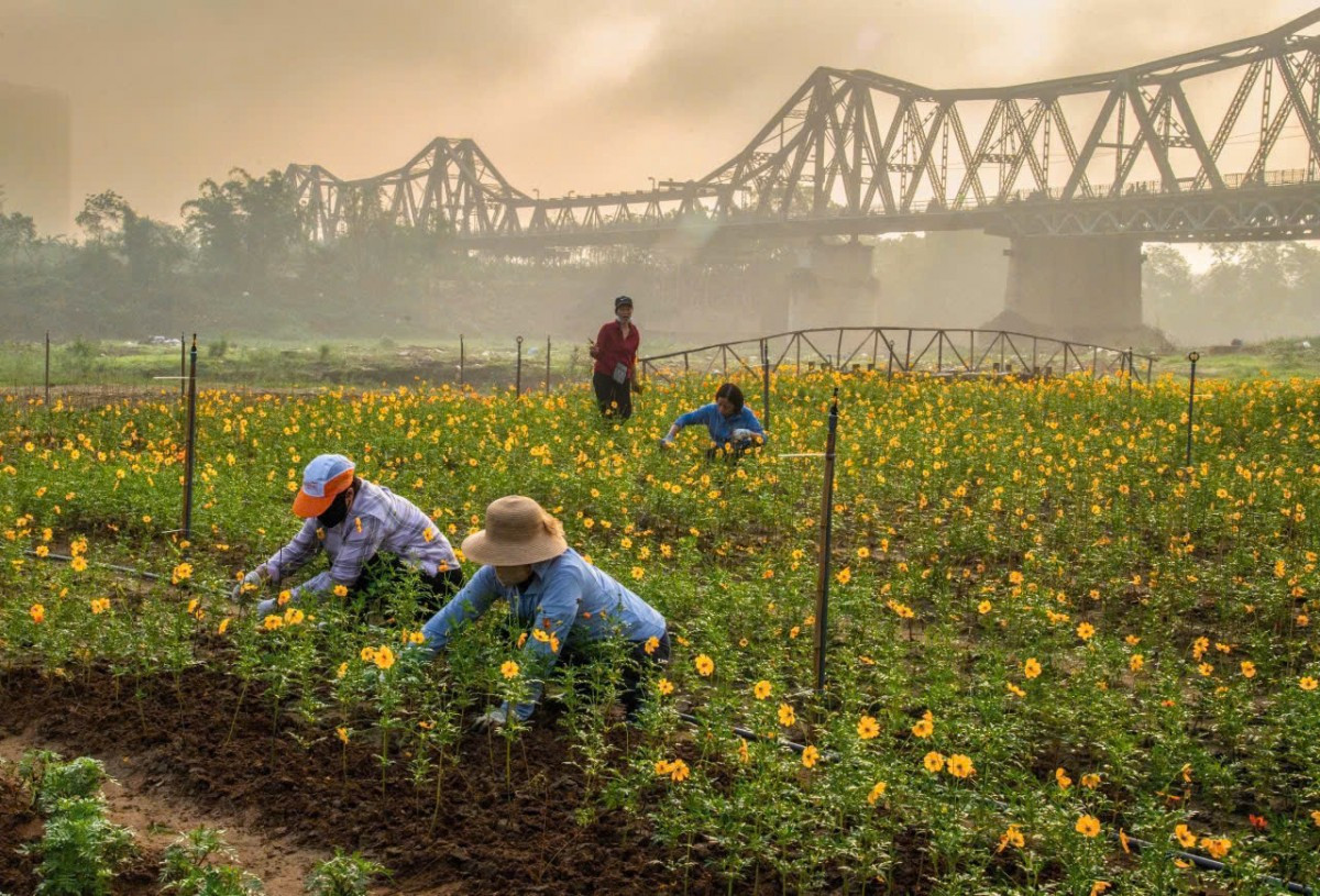 Đ&agrave;i PTTH H&agrave; Nội