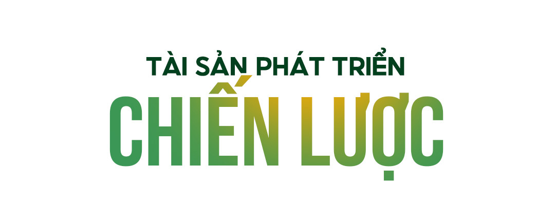 Đ&agrave;i PTTH H&agrave; Nội