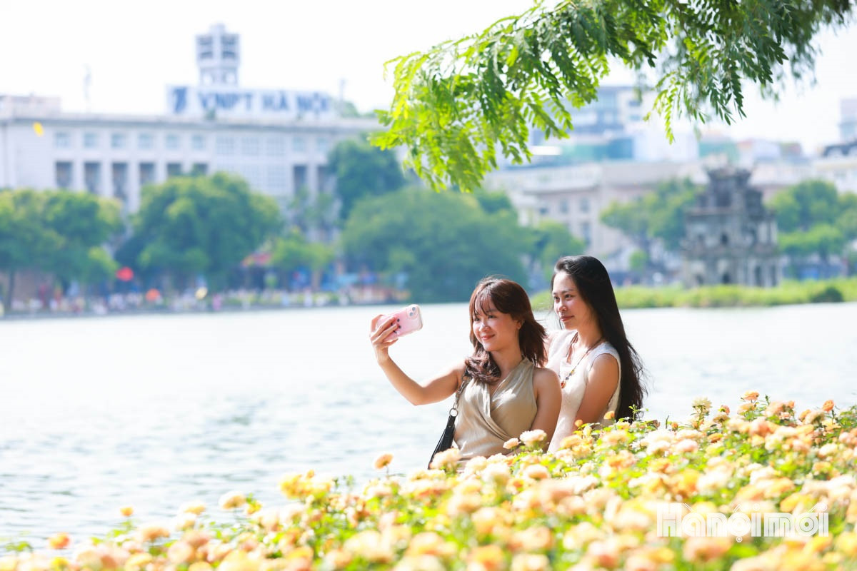 Đ&agrave;i PTTH H&agrave; Nội