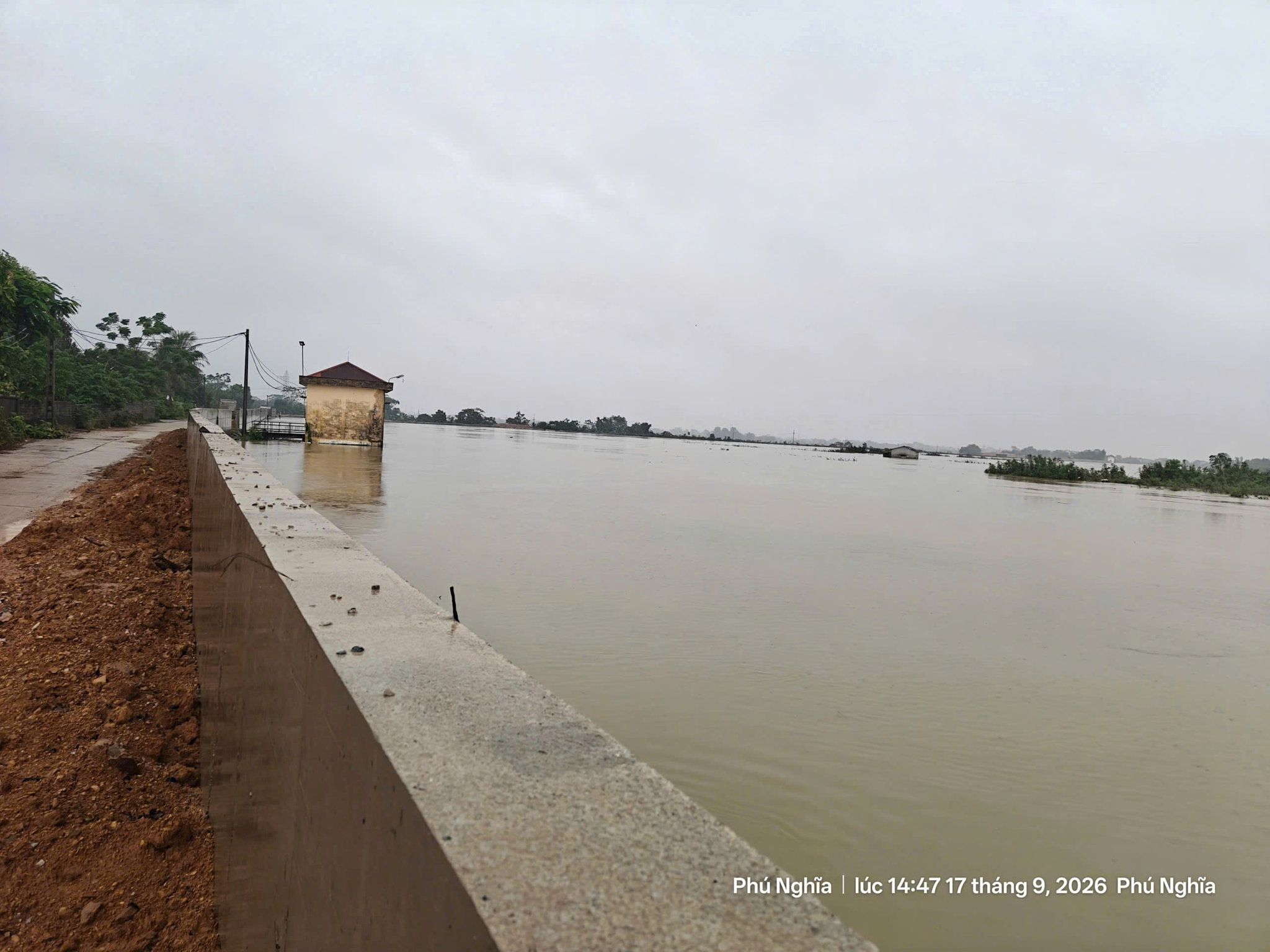 Đ&agrave;i PTTH H&agrave; Nội
