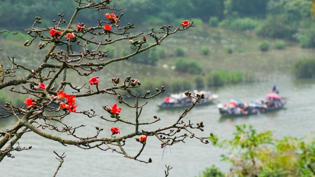 Ch&ugrave;a Hương hoa gạo soi d&ograve;ng suối Yến
