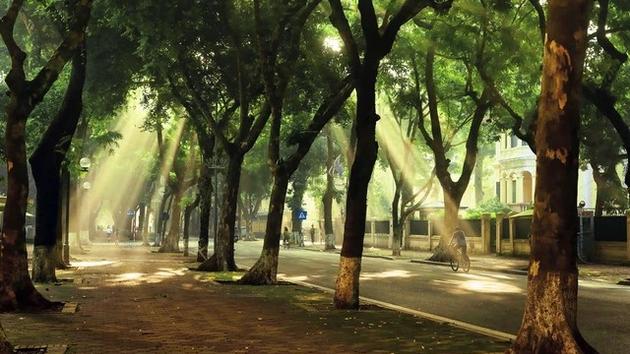Dự b&aacute;o thời tiết 24/3, H&agrave; Nội s&aacute;ng mưa, trưa nắng đẹp
