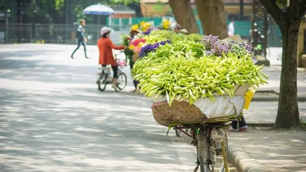 Thương nhớ th&aacute;ng tư H&agrave; Nội