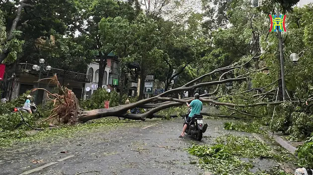 Phố 'n&agrave;ng thơ' đẹp nhất Thủ đ&ocirc; ra sao sau si&ecirc;u b&atilde;o?