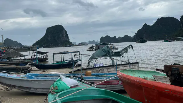 Sau b&atilde;o, nhiều người d&acirc;n Quảng Ninh thiệt hại h&agrave;ng tỷ đồng