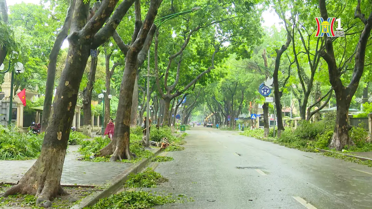 Cảnh quan sạch đẹp của tuyến phố gần như đ&atilde; trở lại.