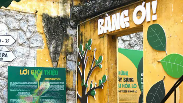 Trưng b&agrave;y chuy&ecirc;n đề &ldquo;B&agrave;ng ơi!&rdquo;