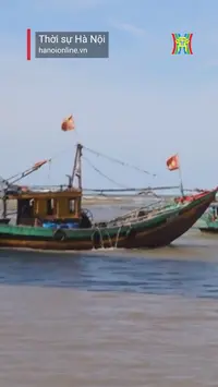 B&atilde;o Trami c&oacute; khả năng đổi hướng v&agrave; đi v&agrave;o biển Đ&ocirc;ng
