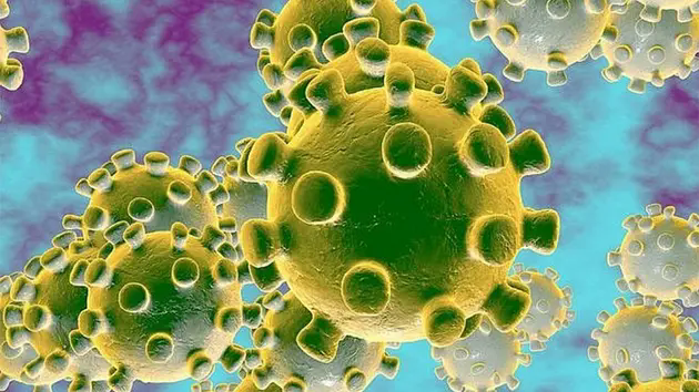 Bộ Y tế th&ocirc;ng tin về bệnh do virus g&acirc;y vi&ecirc;m phổi tại Trung Quốc