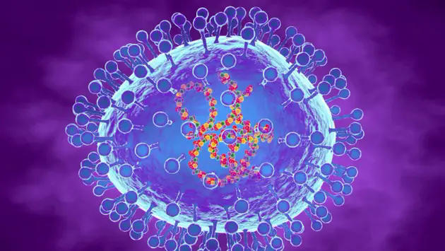 Những quốc gia c&oacute; số ca nhiễm virus HMPV gia tăng
