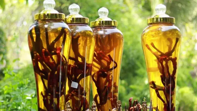 Một người tử vong sau khi uống rượu ng&acirc;m rễ c&acirc;y rừng