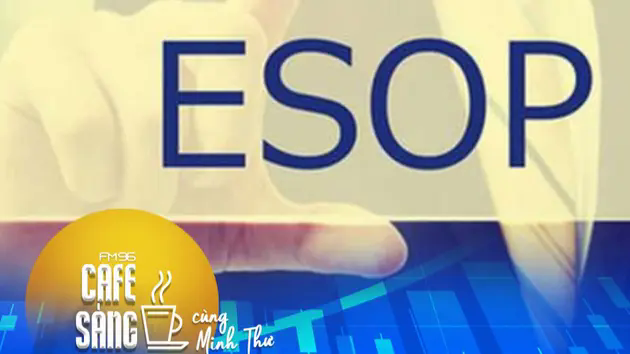 Cổ phiếu ESOP v&agrave; ảnh hưởng tới cổ đ&ocirc;ng
